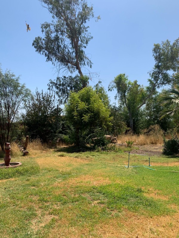 Terreno 15.000 M2 Con Luz y Agua. Lo Echevers/noviciado