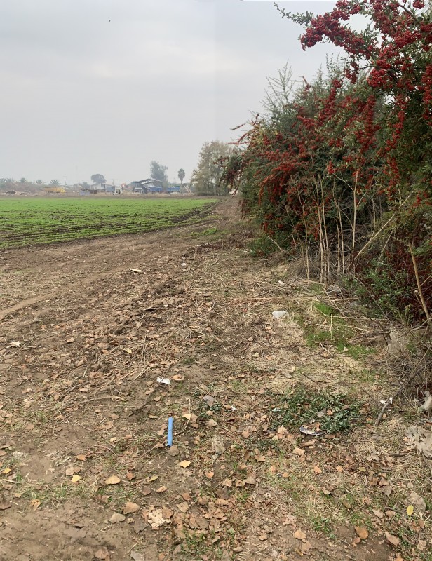Terreno de 71.000 M2 en Lampa – Ideal para Inversionistas!