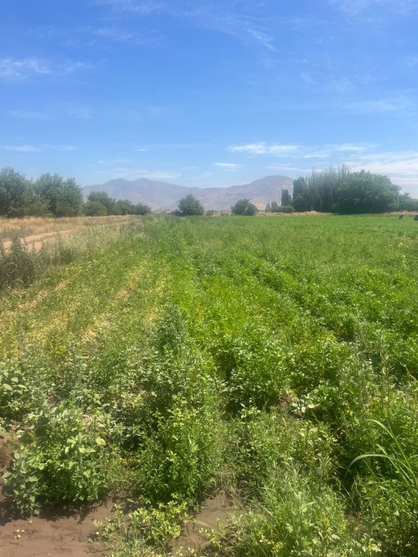Oportunidad Comercial Única en Lampa - 10 A 26 Hectáreas de