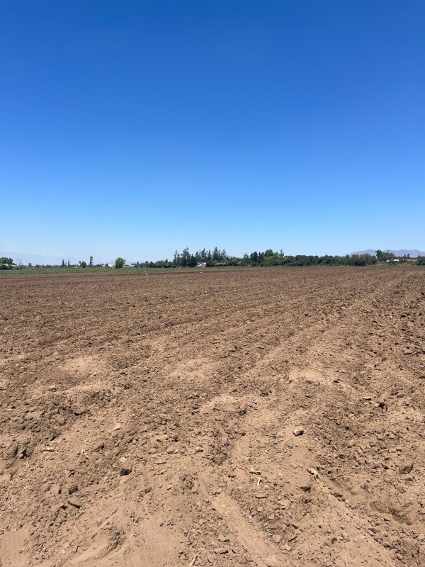 Oportunidad de Inversión: Terreno de 78.000 M² Lo Echevers