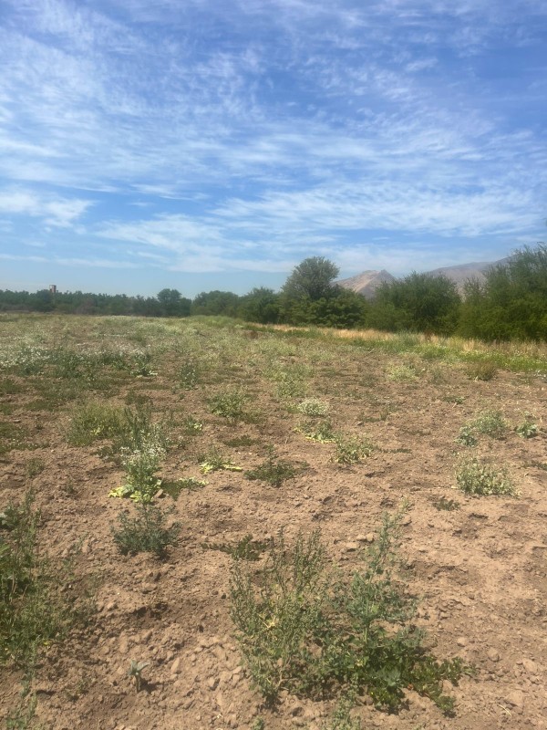 Oportunidad Comercial Única en Lampa - 10 A 26 Hectáreas de
