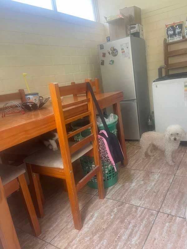 Vende Acogedora Casa de 2 Pisos en Centro de Lampa. 3D+2B