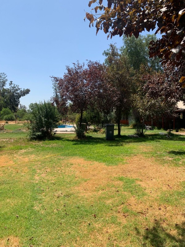 Terreno 15.000 M2 Con Luz y Agua. Lo Echevers/noviciado