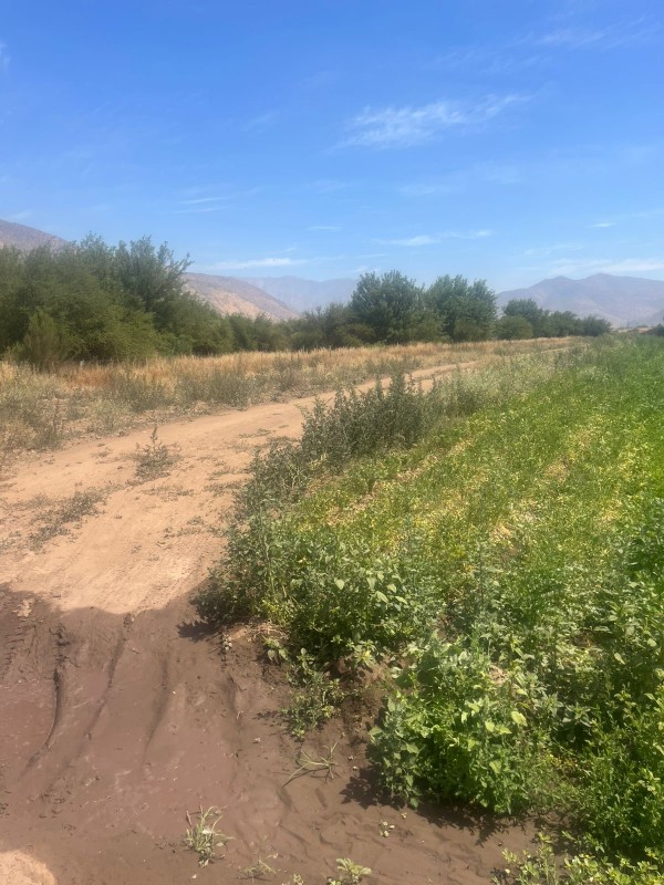 Oportunidad Comercial Única en Lampa - 10 A 26 Hectáreas de