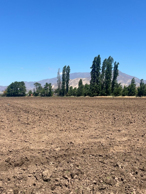 Oportunidad de Inversión: Terreno de 78.000 M² Lo Echevers