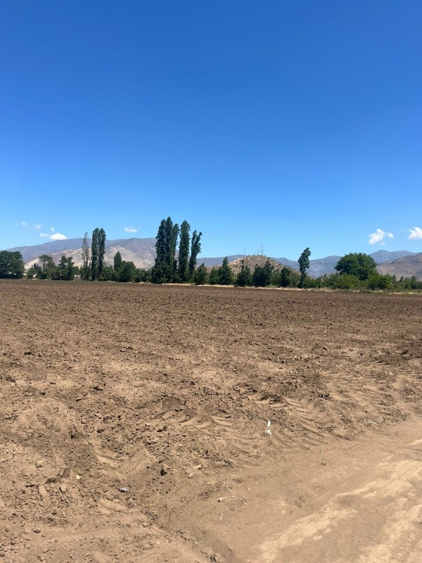 Oportunidad de Inversión: Terreno de 78.000 M² Lo Echevers
