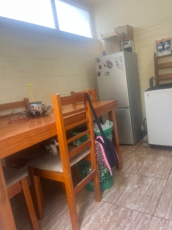 Vende Acogedora Casa de 2 Pisos en Centro de Lampa. 3D+2B