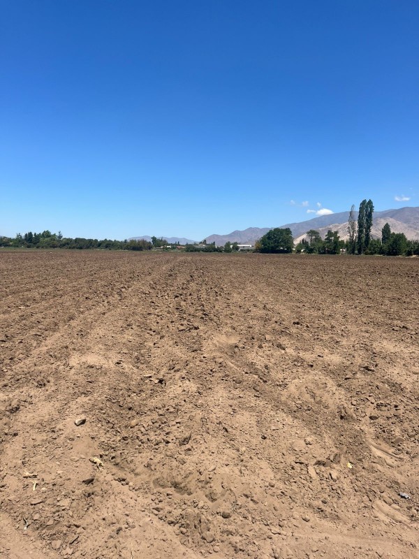 Oportunidad de Inversión: Terreno de 78.000 M² Lo Echevers