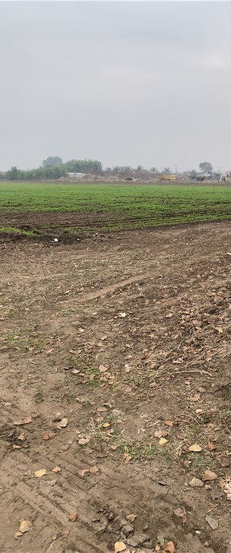 Terreno de 71.000 M2 en Lampa – Ideal para Inversionistas!
