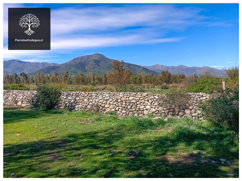 Parcela Agrícola 5.000 M² en Codegua Cerca Ruta 5 Sur