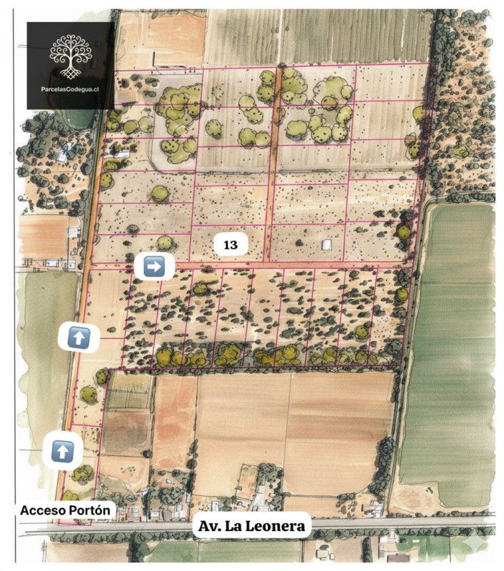 Parcela Agrícola 5.000 M² en Codegua Cerca Ruta 5 Sur