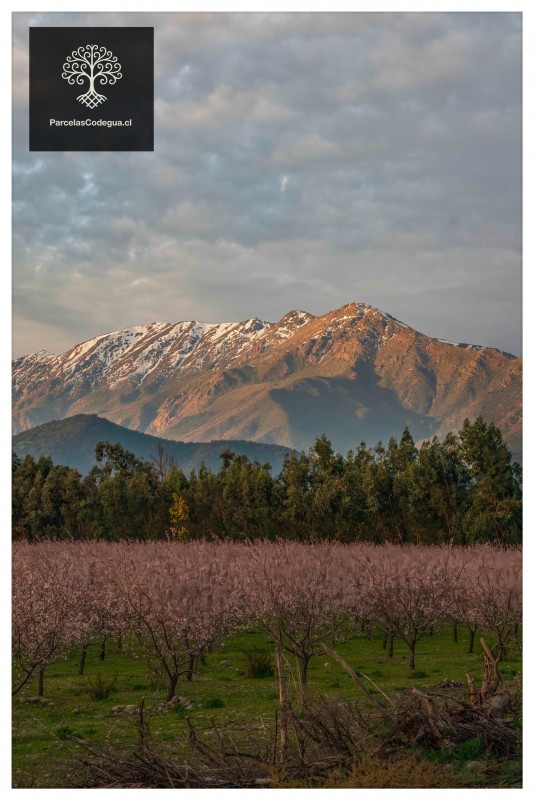 Venta de Terreno en la Leonera, Codegua: 55 Min de Santiago