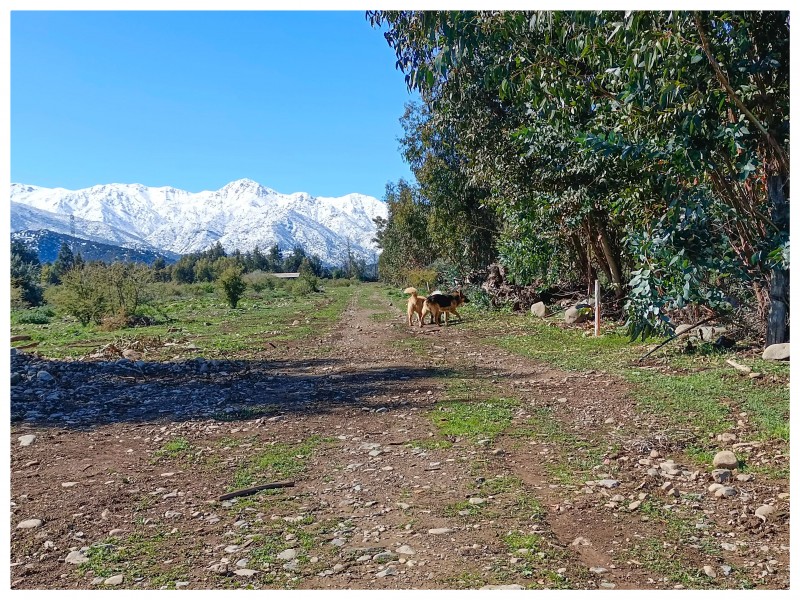 Venta de Parcela en Codegua | 5.000 M² A Minutos de Ruta 5