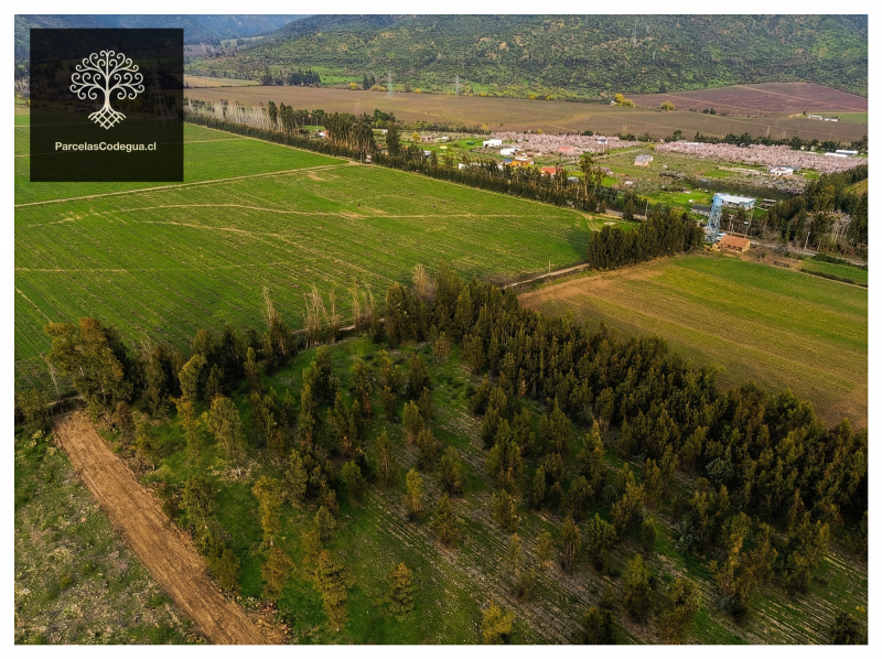Parcela Agrícola 5.000 M² en Codegua Cerca Ruta 5 Sur