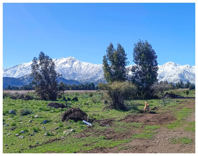 Venta de Parcela en Codegua | 5.000 M² A Minutos de Ruta 5