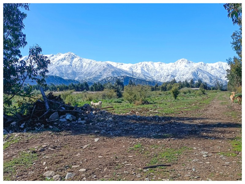 Venta de Parcela en Codegua | 5.000 M² A Minutos de Ruta 5
