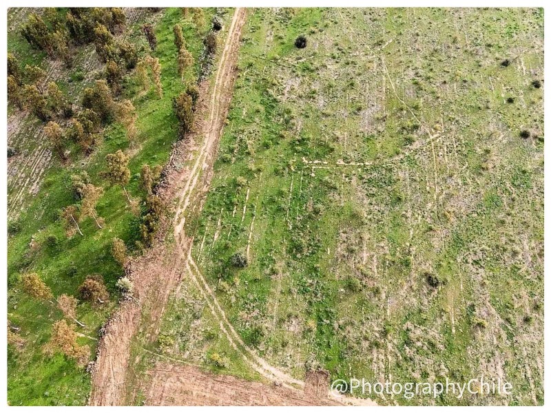 Venta de Parcela en Codegua | 5.000 M² A Minutos de Ruta 5