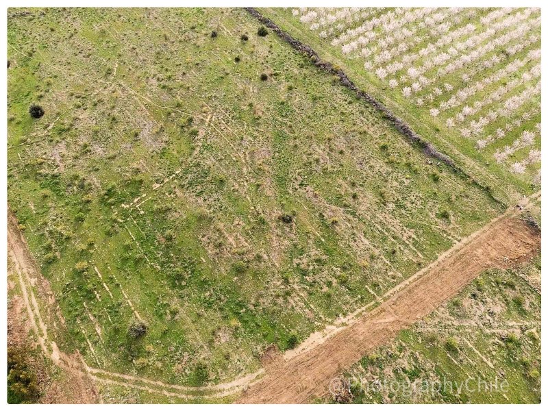Venta de Parcela en Codegua | 5.000 M² A Minutos de Ruta 5
