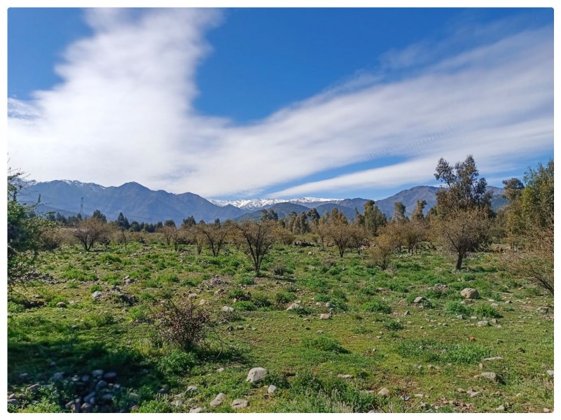 Venta de Parcela en Codegua | 5.000 M² A Minutos de Ruta 5