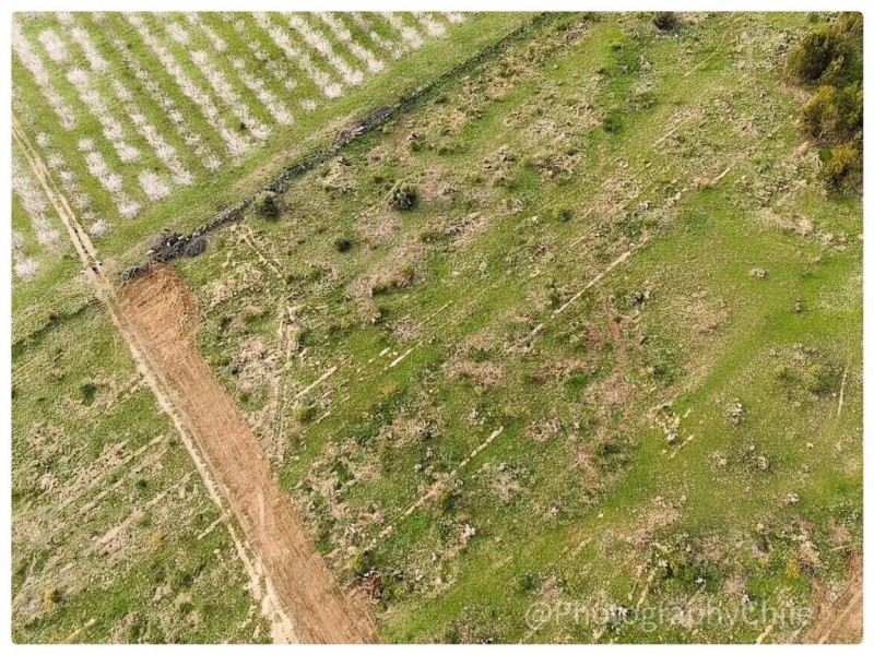 Venta de Parcela en Codegua | 5.000 M² A Minutos de Ruta 5