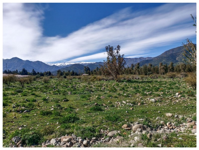 Venta de Parcela en Codegua | 5.000 M² A Minutos de Ruta 5