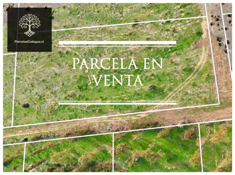 en Venta Terreno en Codegua A 10 Min de Ruta 5 Sur - Rol