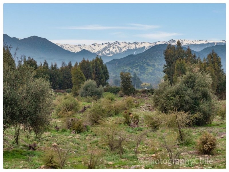 Venta de Parcela en Codegua | 5.000 M² A Minutos de Ruta 5
