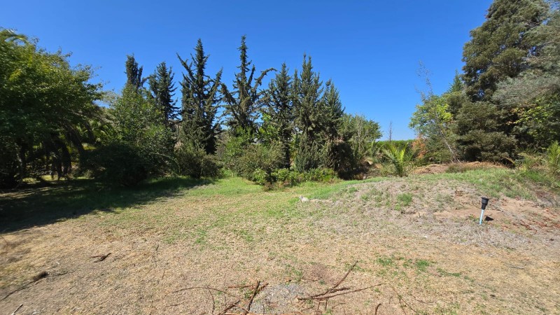 Oportunidad Se Vende Parcela Sola en Av. Lonquén Sur