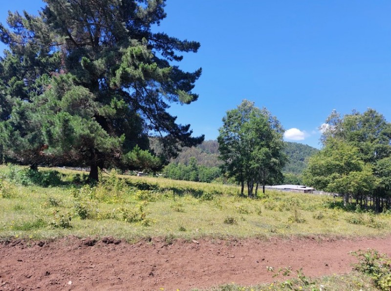 Se Vende Terreno en Comuna de Lanco, Región de los Ríos