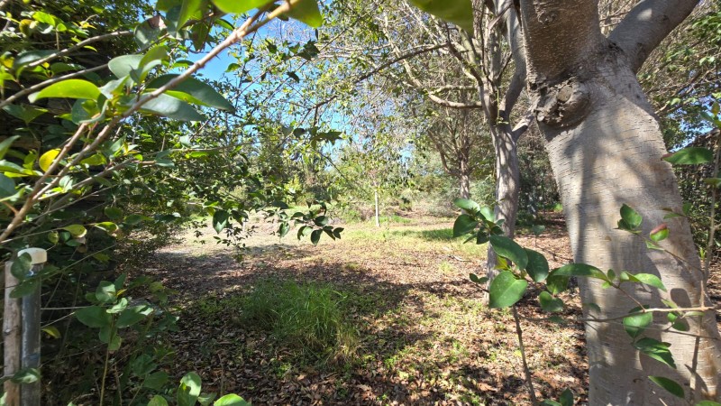 Oportunidad Se Vende Parcela Sola en Av. Lonquén Sur