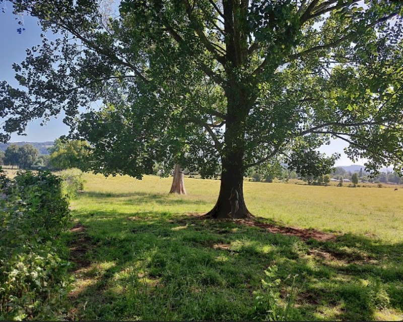 Se Vende Terreno en Comuna de Lanco, Región de los Ríos