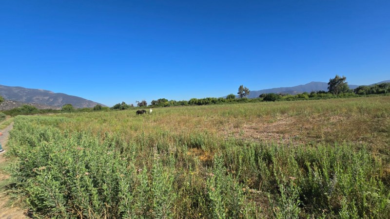 Se Vende 2 Hectareas Zona Campestre Comuna Isla de Maipo