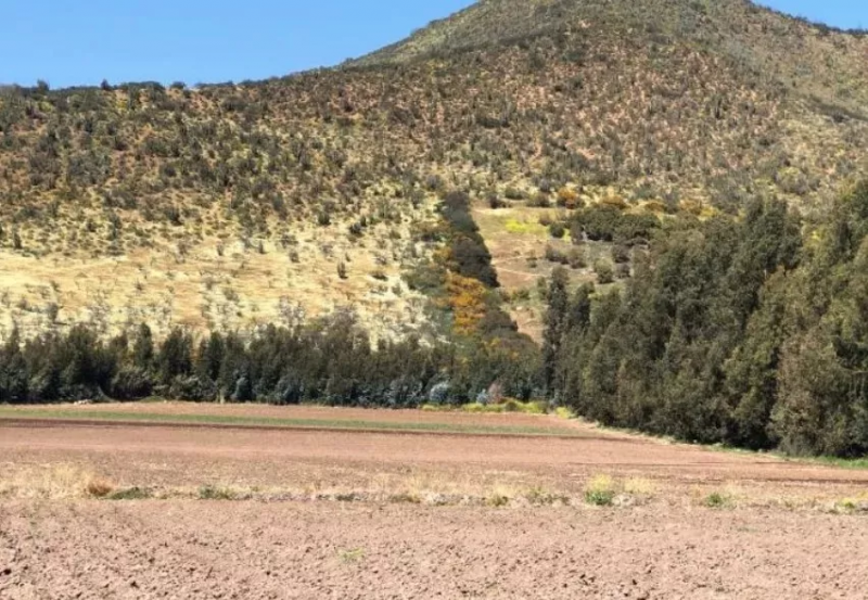Se Vende Campo Sector Naltagua Comuna Isla de Maipo