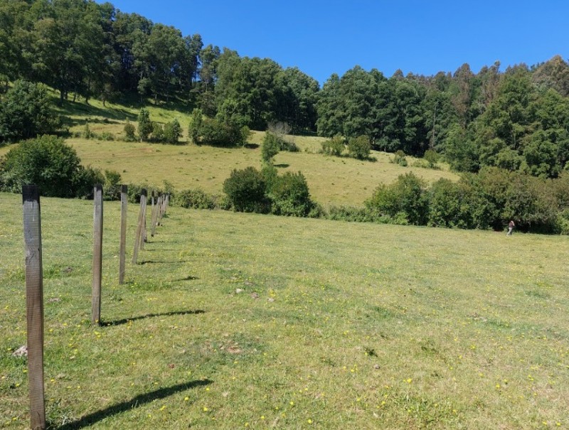 Se Vende Terreno en Comuna de Lanco, Región de los Ríos