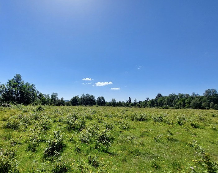 Se Vende Terreno en Comuna de Lanco, Región de los Ríos