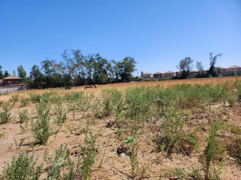 Terreno en Venta Calle Centro Comuna de Isla de Maipo