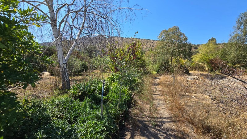Oportunidad Se Vende Parcela Sola en Av. Lonquén Sur