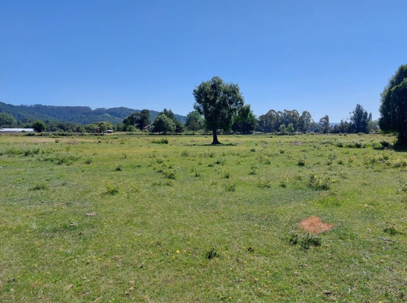 Se Vende Terreno en Comuna de Lanco, Región de los Ríos