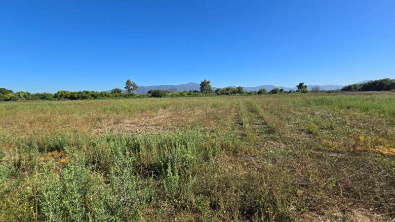 Se Vende 2 Hectareas Zona Campestre Comuna Isla de Maipo
