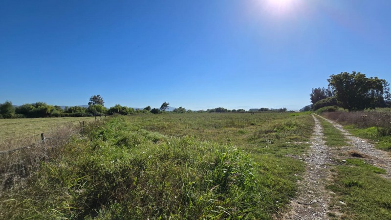 Se Vende 2 Hectareas Zona Campestre Comuna Isla de Maipo