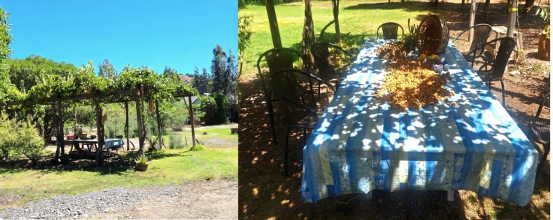 Se Vende Parcela de Agrado en Parcelación las Canarias