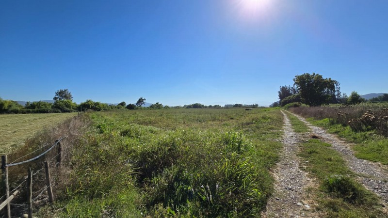 Se Vende 2 Hectareas Zona Campestre Comuna Isla de Maipo