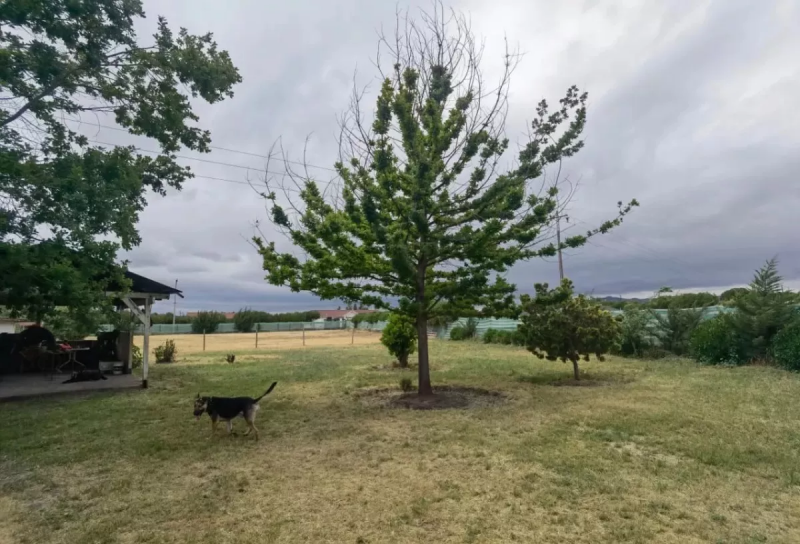 Se Arrienda Parcela en Condominio Aguas Claras, Talagante