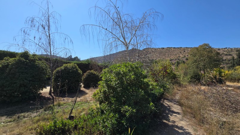 Oportunidad Se Vende Parcela Sola en Av. Lonquén Sur