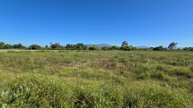 Se Vende 2 Hectareas Zona Campestre Comuna Isla de Maipo