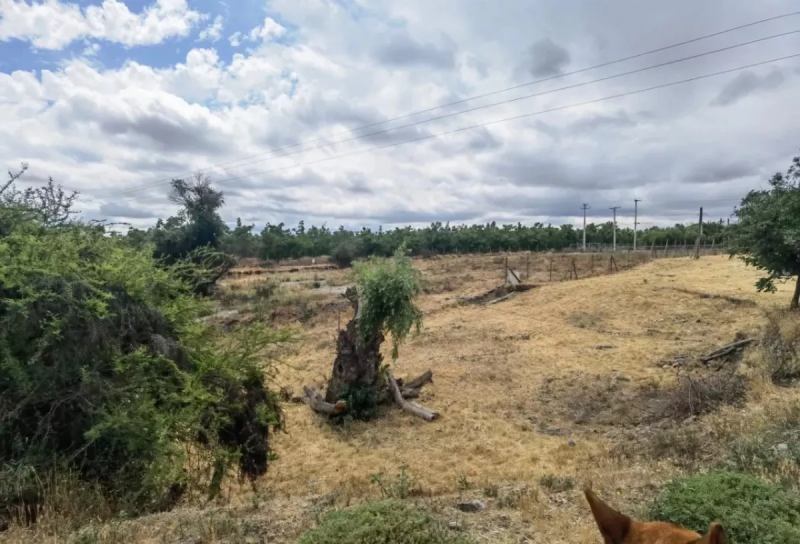 Se Arrienda Parcela en Condominio Aguas Claras, Talagante