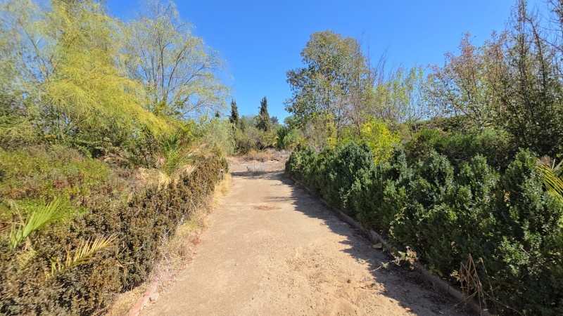 Oportunidad Se Vende Parcela Sola en Av. Lonquén Sur