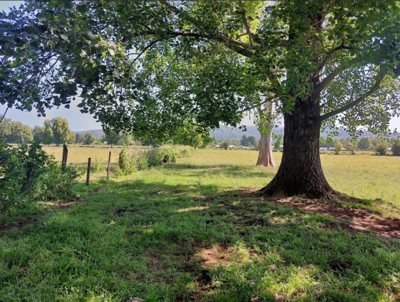 Se Vende Terreno en Comuna de Lanco, Región de los Ríos