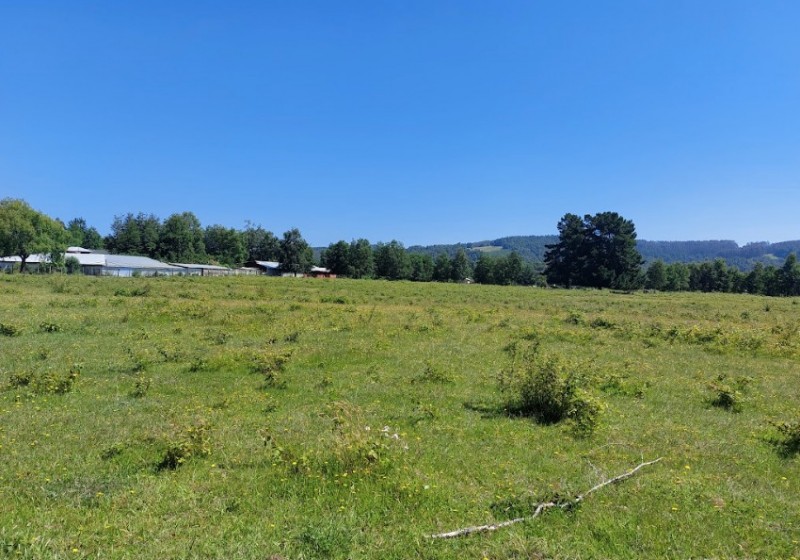 Se Vende Terreno en Comuna de Lanco, Región de los Ríos