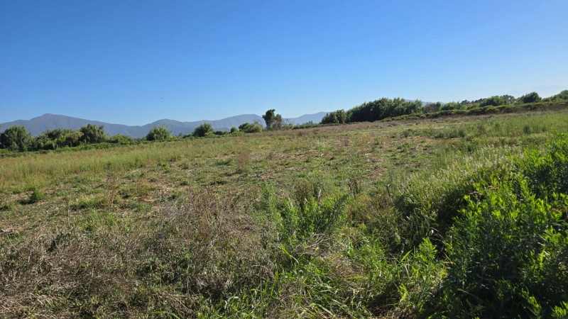 Se Vende 2 Hectareas Zona Campestre Comuna Isla de Maipo